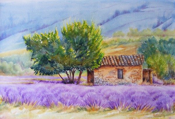 Акварель Лаванда Прованс