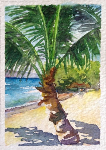 Пальма акварель