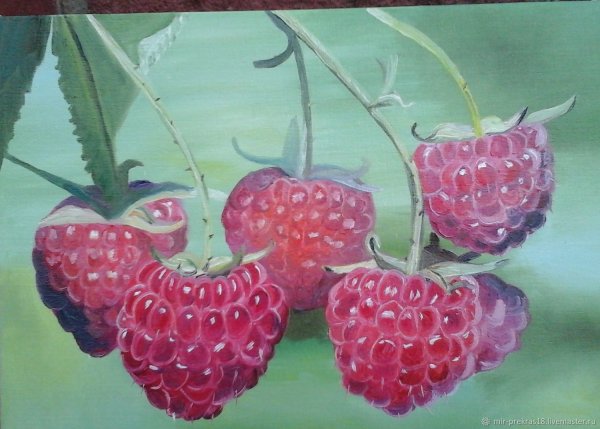 Картина малина