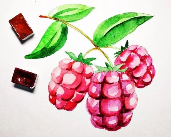 Ягоды рисунок красками