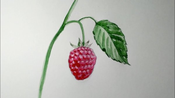 Поэтапное рисование малины