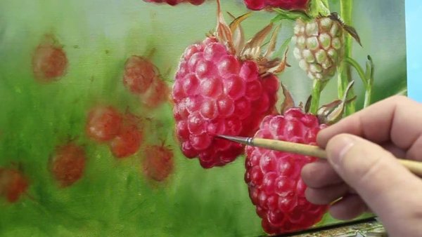 Малина скетч акварель