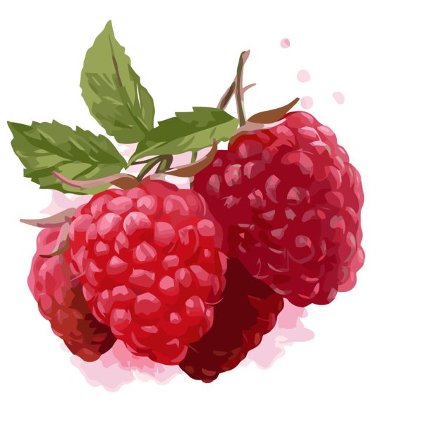 Рисование малина средняя группа