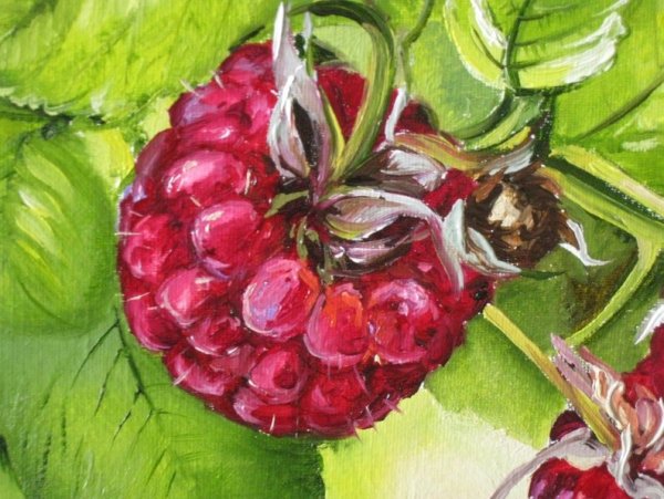 Малина рисунок акварелью