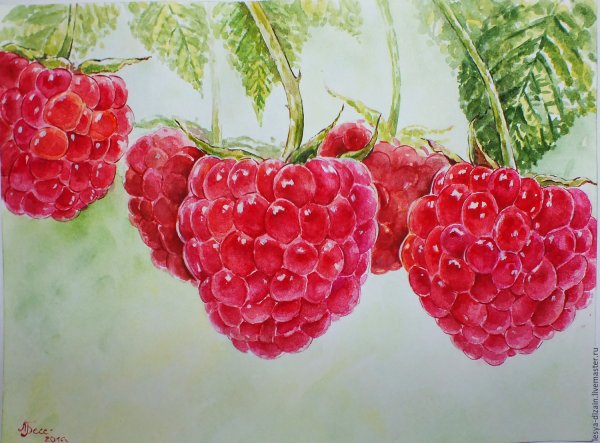 Малина маслом живопись