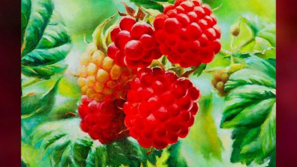 Малина акварельными карандашами