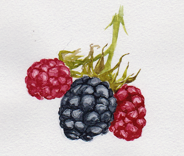 Земляника акварель