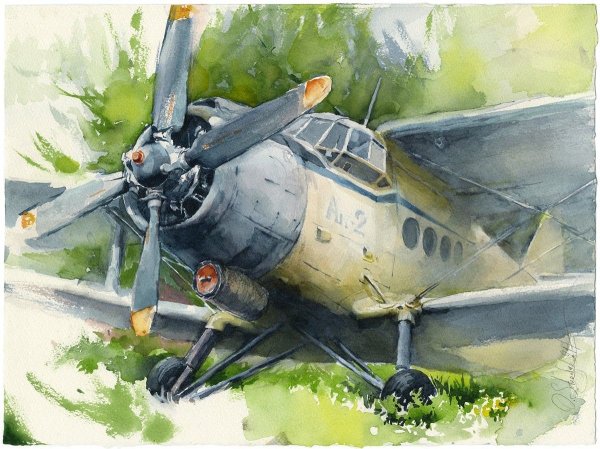 Самолет АН 2 В живописи