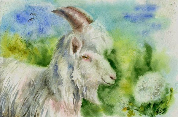 Украинская живопись коза