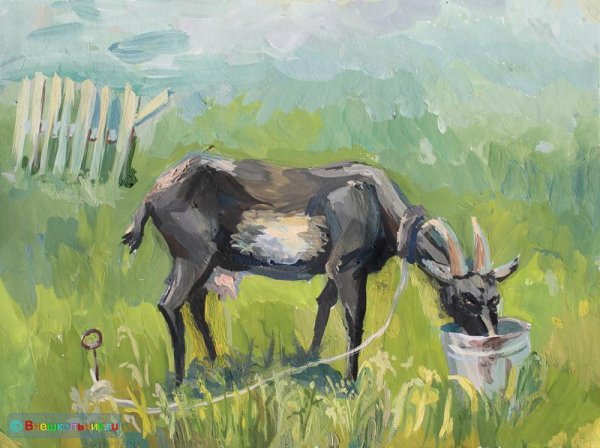 Этюды козочек