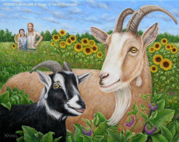 Козел картина