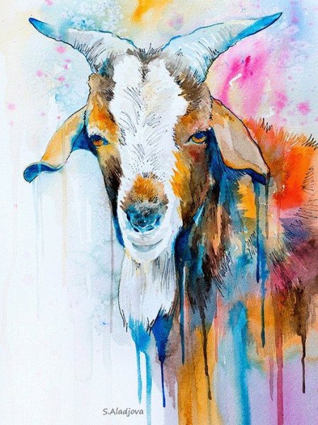 Коза акварель