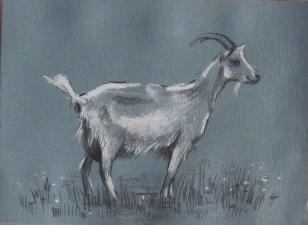 Пленэрные зарисовки животных