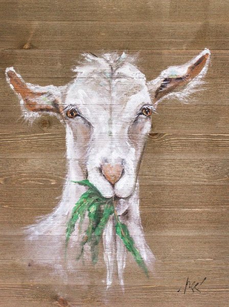 Коза акварель
