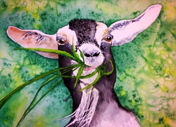 Козочка акварель