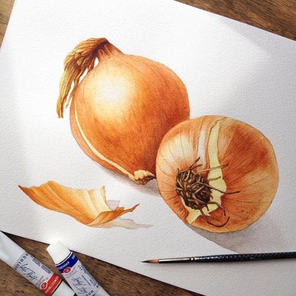Лук акварелью