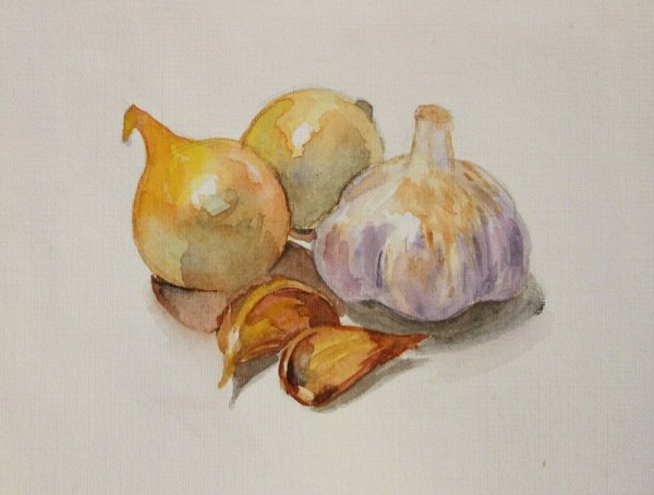 Лук акварель Андрияки