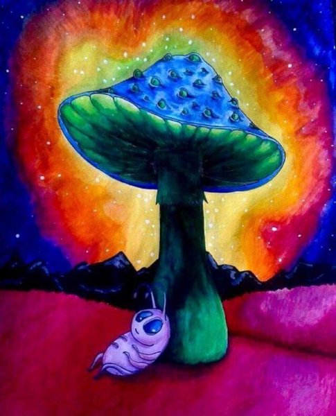 Психоделика грибы