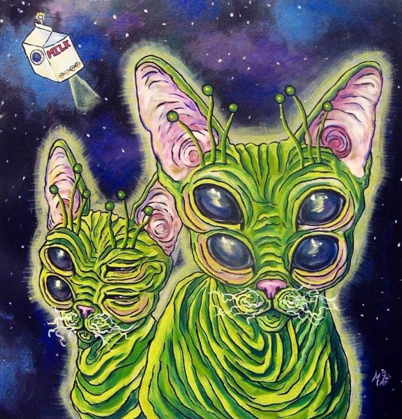 Кислотные коты