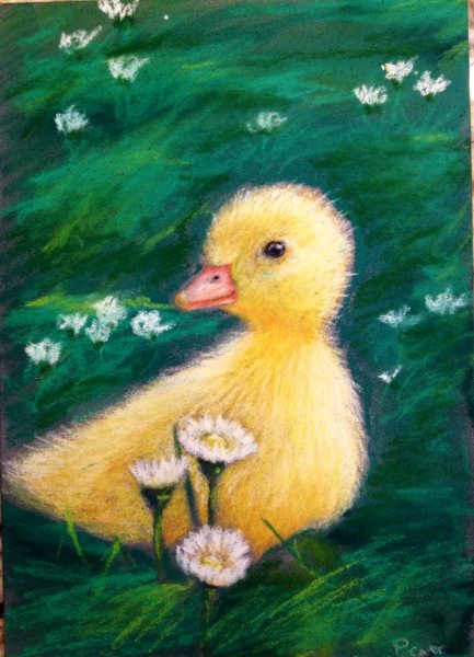 Картина утенок