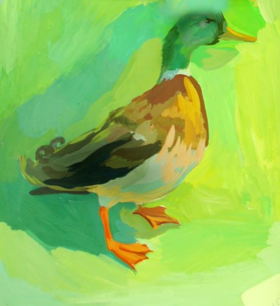 Рисунки с утками