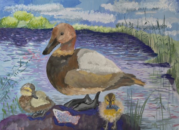 Этюд чучела птицы акварель