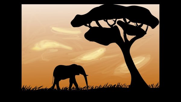 Правополушарное рисование Африка