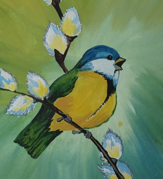 Синица гуашью