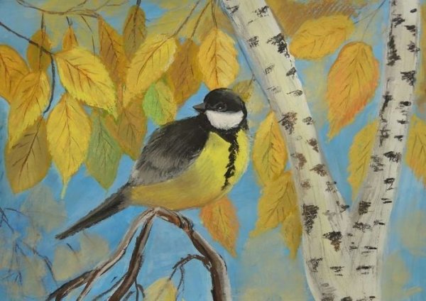 Рисование птички синички