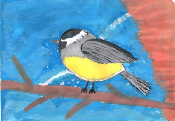 Рисование красками птиц синица 1 класс