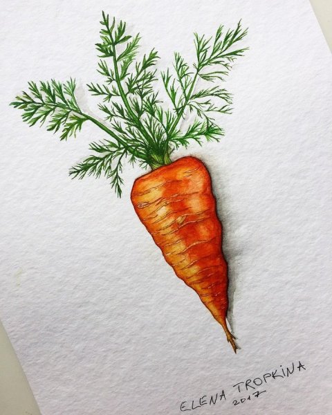 Овощи цветными карандашами