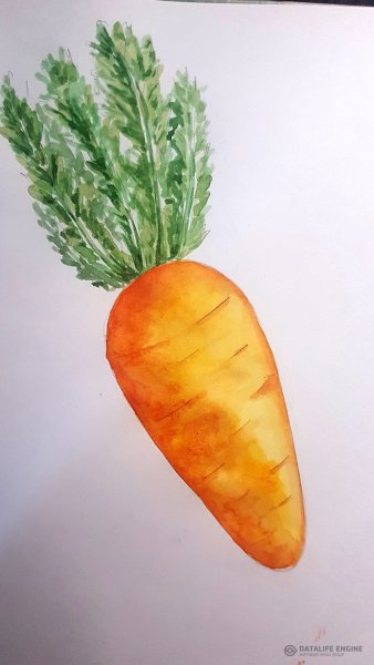 Морковь гуашью