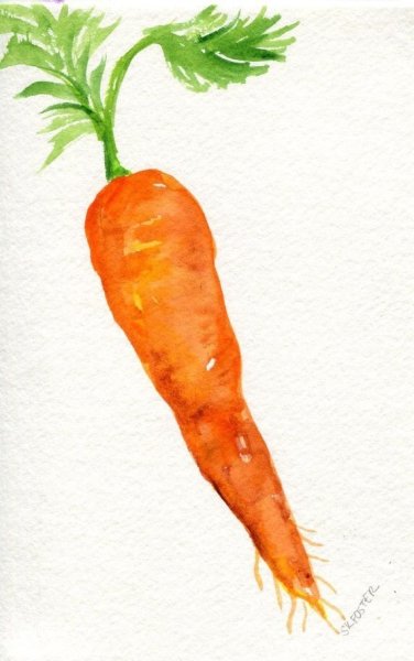 Морковка гуашью