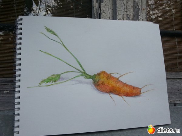 Живая морковка