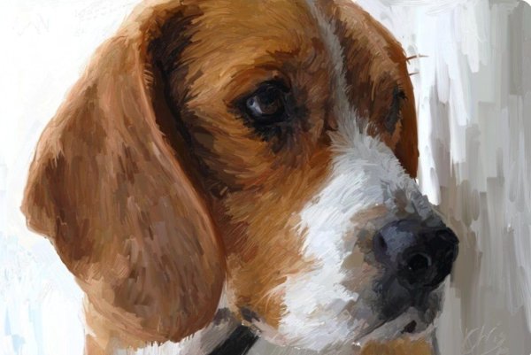 Портрет собаки Бигль
