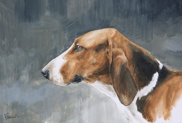 Бигль пастелью