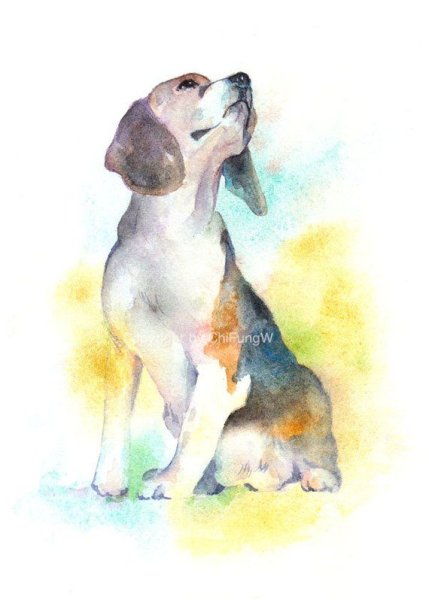 Бигль рисунок акварель