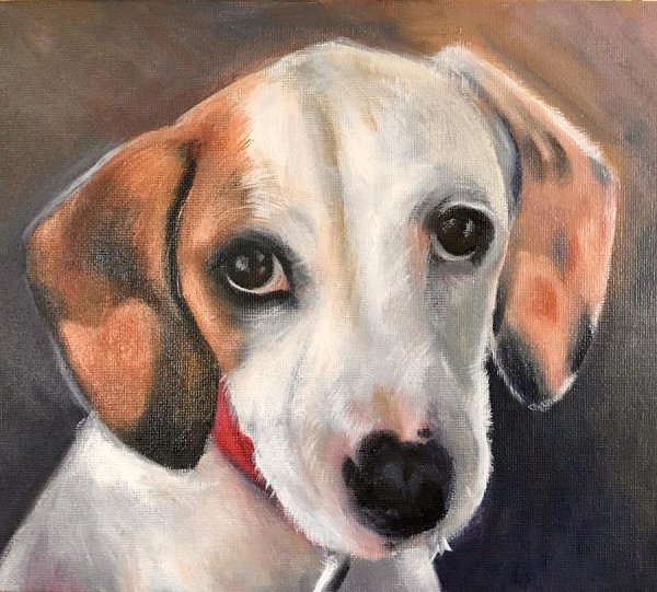 Нарисовать бигля