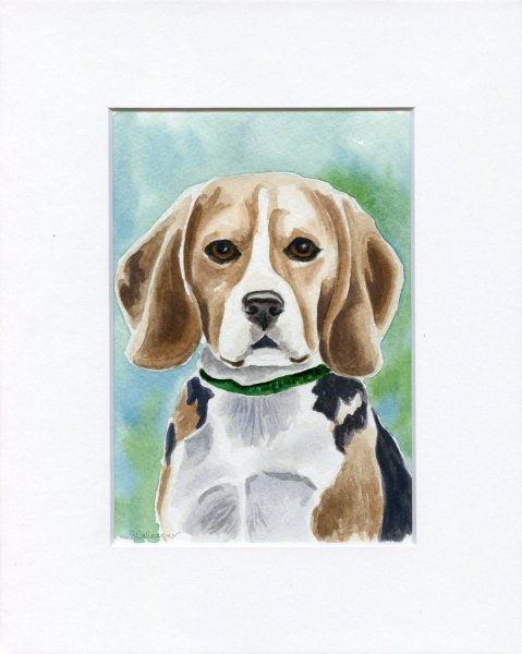 Бигль маркерами