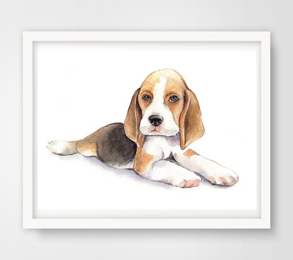 Распечатать обложки с собачками