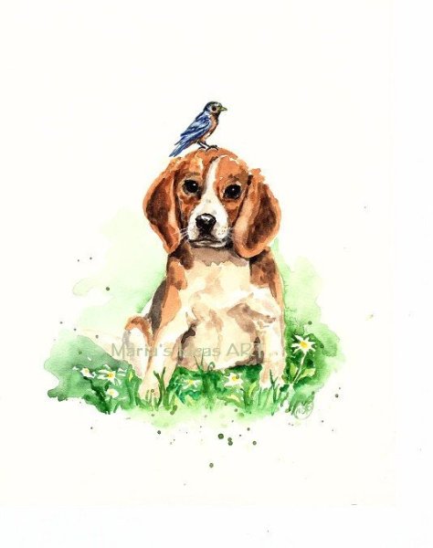Собака акварелью Бигль