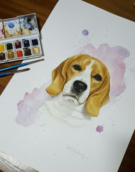 Рисунки акварелью собаки бигля