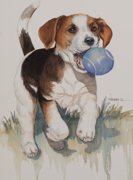 Barbara Keith художник Бигль