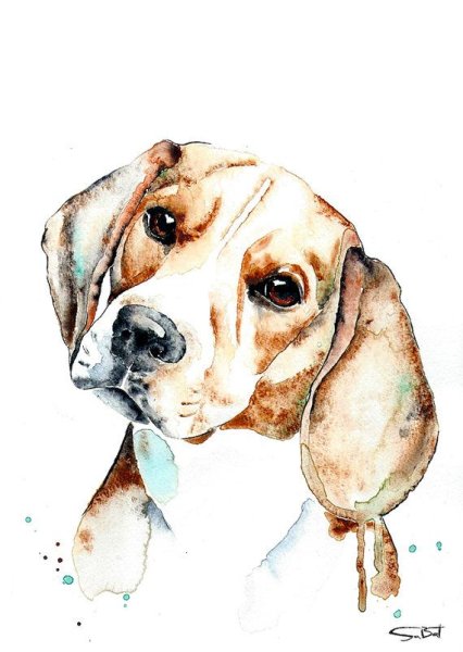 Скетчинг Бигль