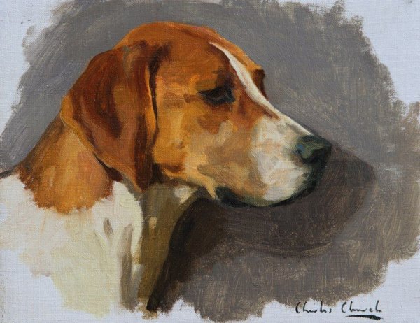 Русская пегая гончая картины