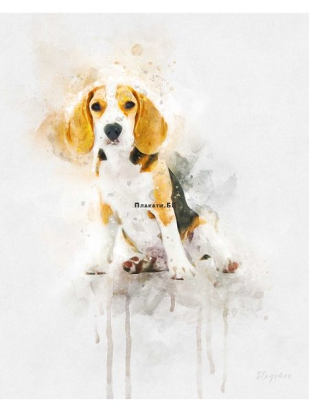 Арт фэнтези Бигль