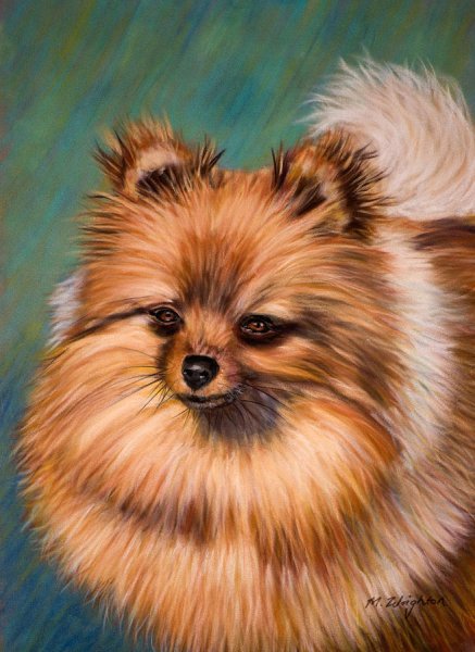 Шпиц живопись