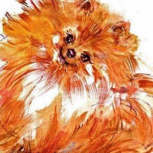 Стилизованный шпиц