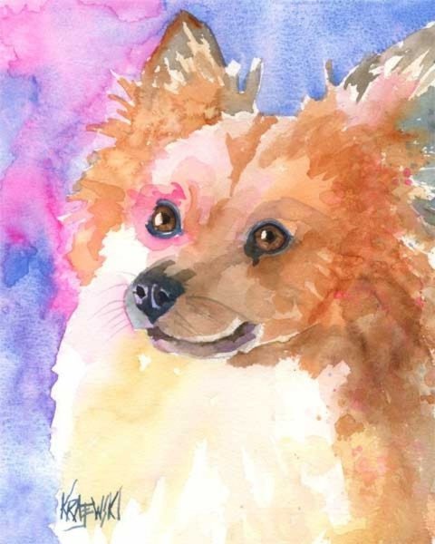 Шпиц акварелью