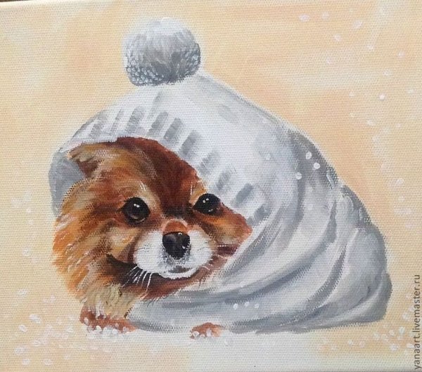 Шпиц акрилом